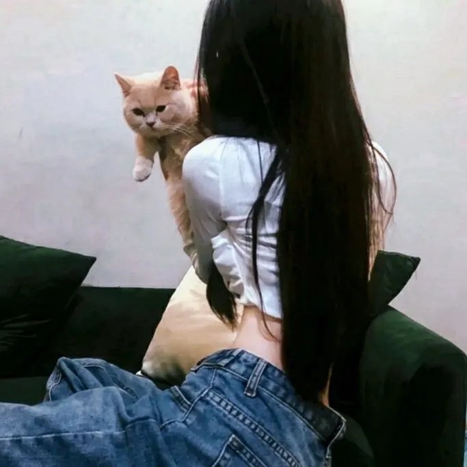 献给检察官的玫瑰花